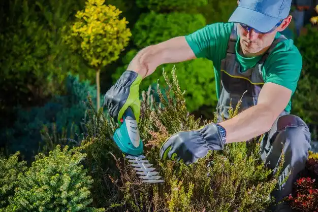 landscaping services Hillburn